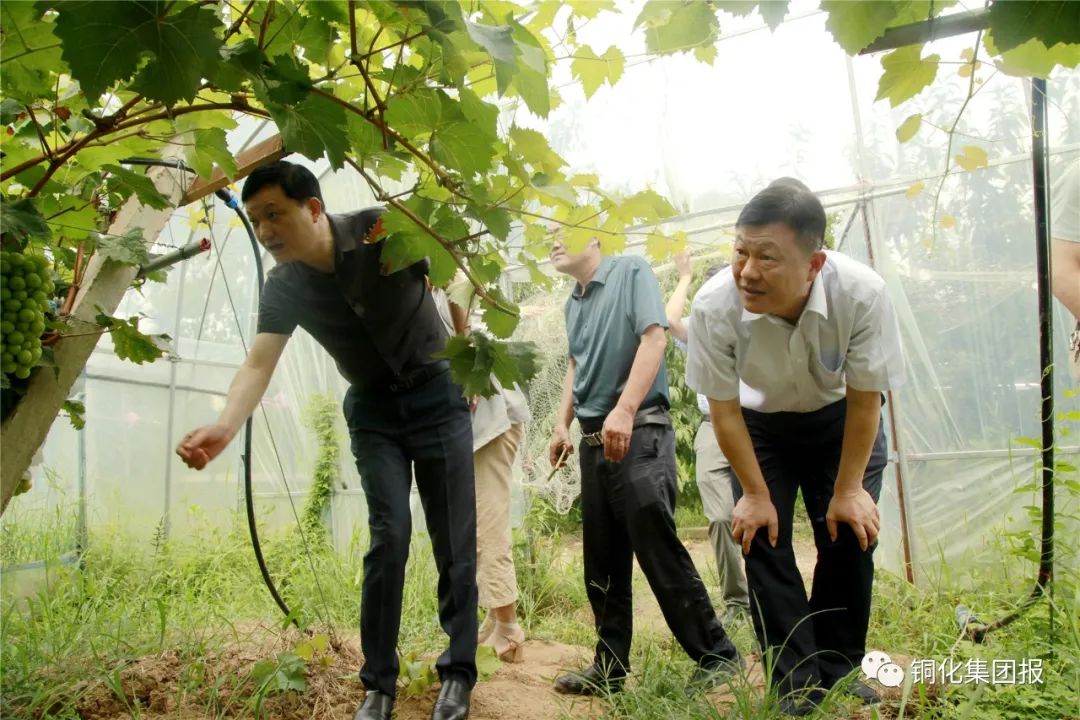 MG游戏官网·(中国区)有限公司